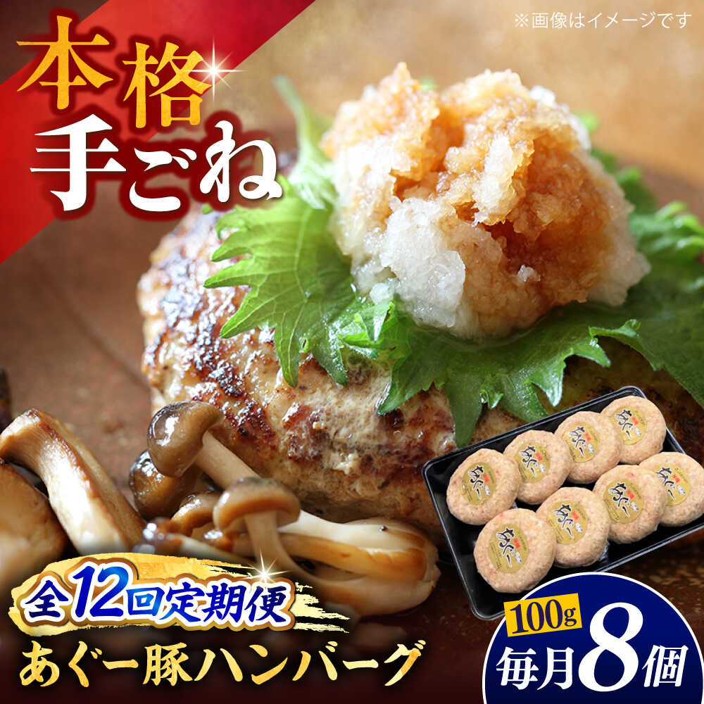 【ふるさと納税】【全12回定期便】沖縄県産あぐー豚ハンバーグセット 800g (100g×8個) 豚 ハンバーグ 冷凍 ギフト お取り寄せ 沖縄市 / お肉屋本店[BCAZ011]