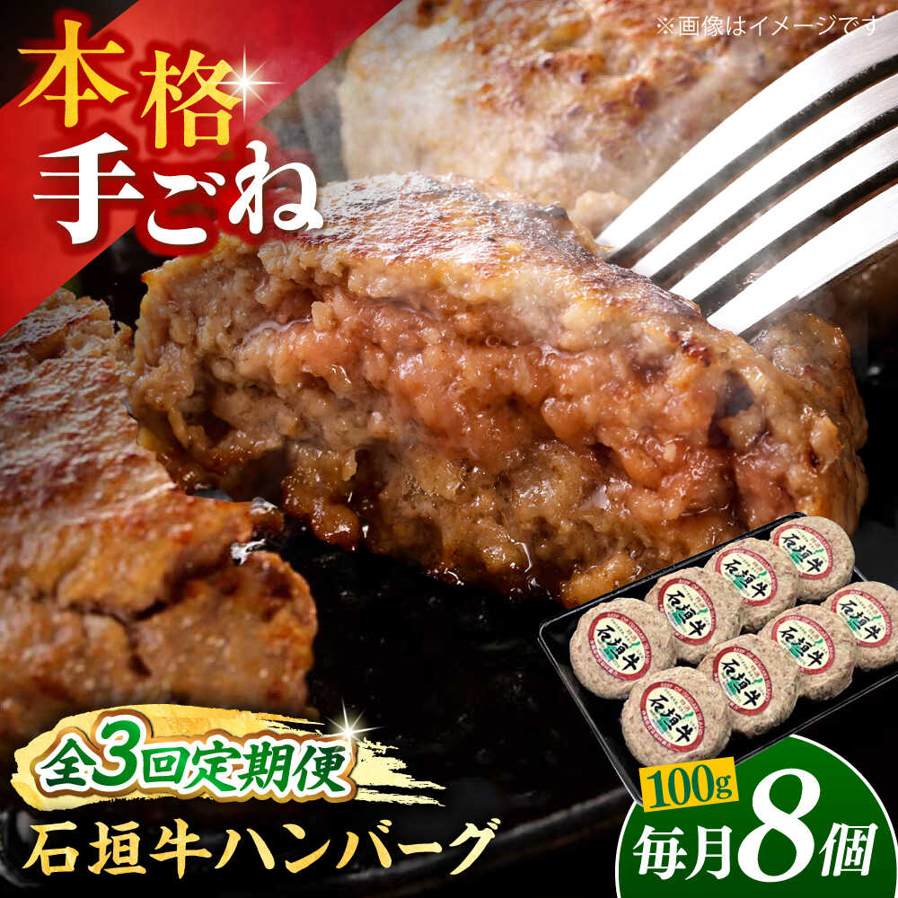 【ふるさと納税】【全3回定期便】沖縄県産石垣牛ハンバーグセット 800g (100g×8個) 牛 ハンバーグ 冷凍 ギフト お取り寄せ 沖縄市 / お肉屋本店[BCAZ012]