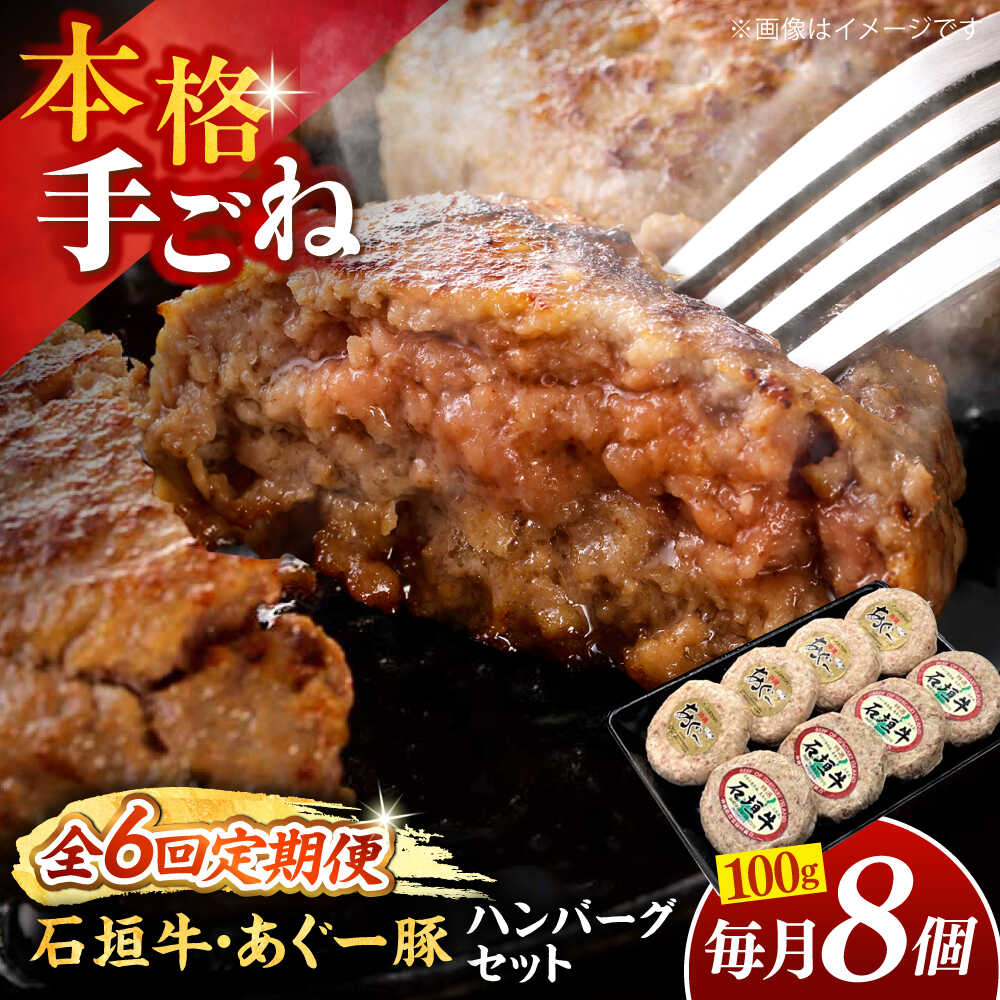 【ふるさと納税】【全6回定期便】沖縄県産 あぐー豚＆石垣牛 ハンバーグセット 800g (100g×8個) 豚 牛 ハンバーグ 冷凍 ギフト お取り寄せ 沖縄市 / お肉屋本店[BCAZ016]