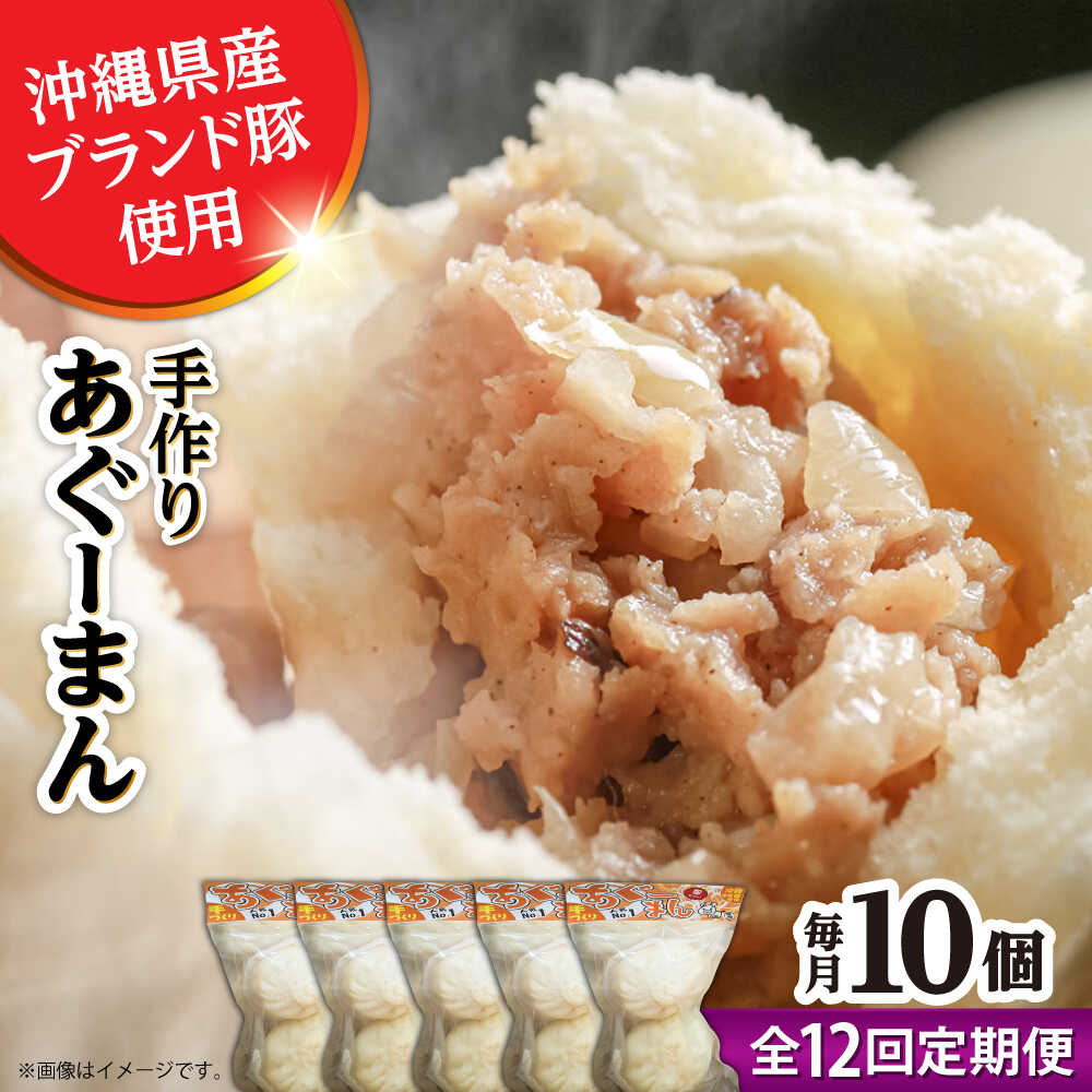 【ふるさと納税】【全12回定期便】あぐーまん 10個入り (2個入り×5P) 肉まん 豚まん 点心 お取り寄せ 冷凍 沖縄市 / 豚々茶舗[BCBL031]