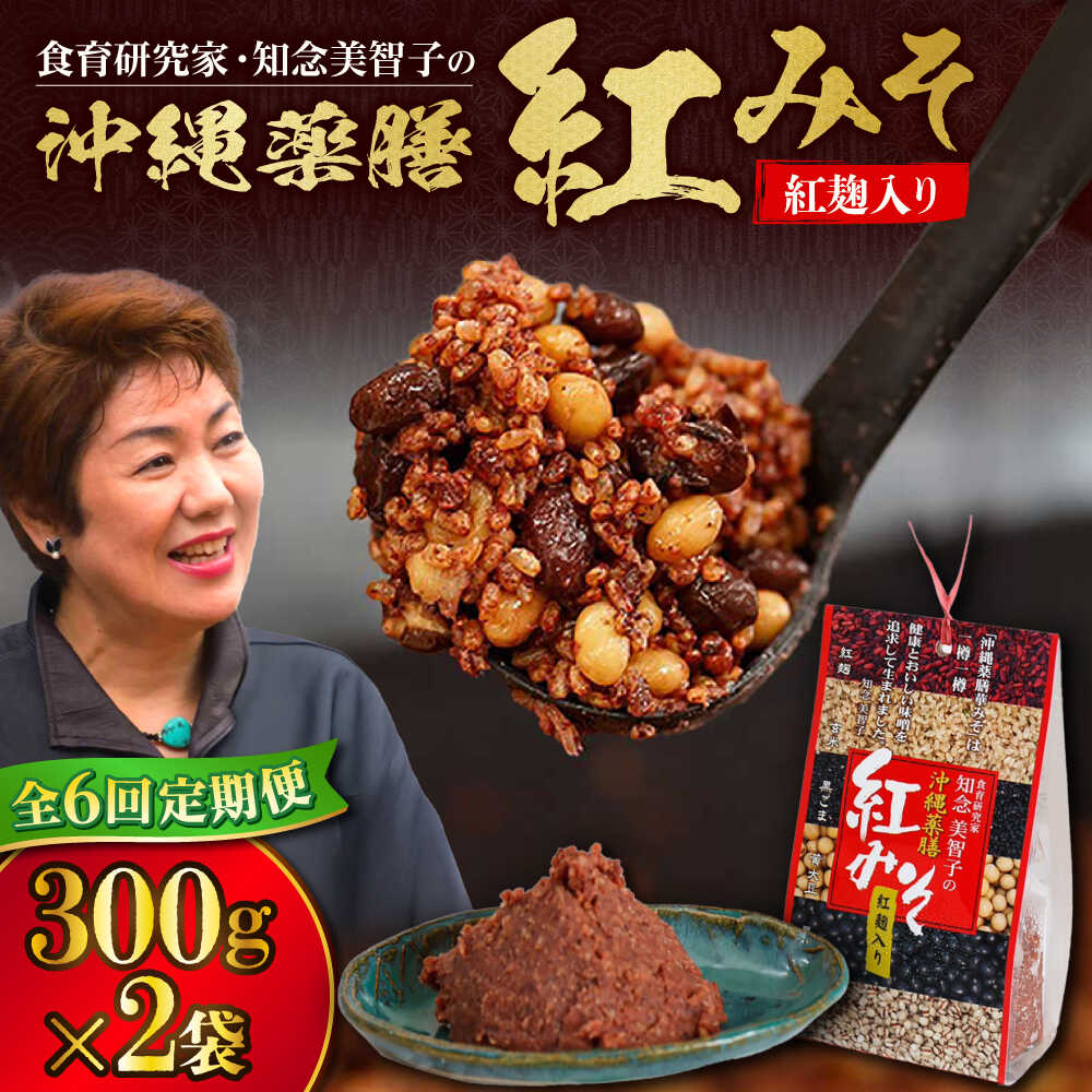 【ふるさと納税】【全6回定期便】沖縄薬膳紅みそ 計600g (300g×2個) 味噌 みそ 国産 沖縄市 / 有限会社ハイビスカスクッキングスクール[BCBU015]