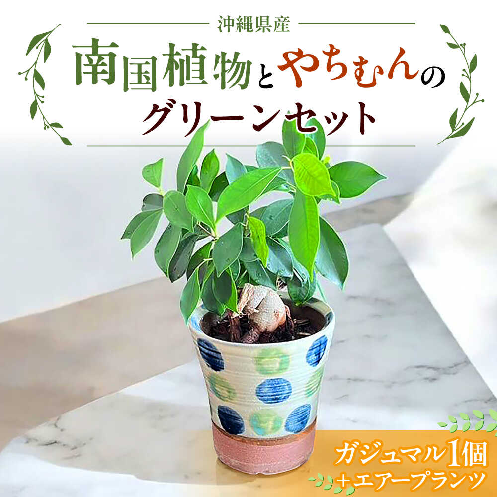 【ひとくちで夏がくる！】沖縄市の贅沢さマンゴー♪
