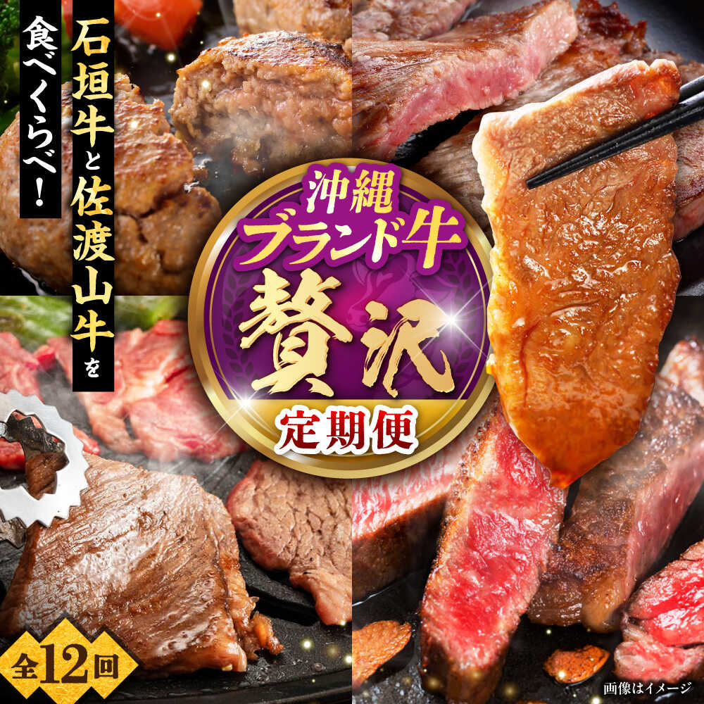 【ふるさと納税】【全12回定期便】沖縄ブランド牛を堪能！贅沢お肉定期便【沖縄市】牛肉 和牛 サーロインステーキ 焼肉 赤身 沖縄市 / 肉のサブロー / お肉屋本店[BCZZ029]