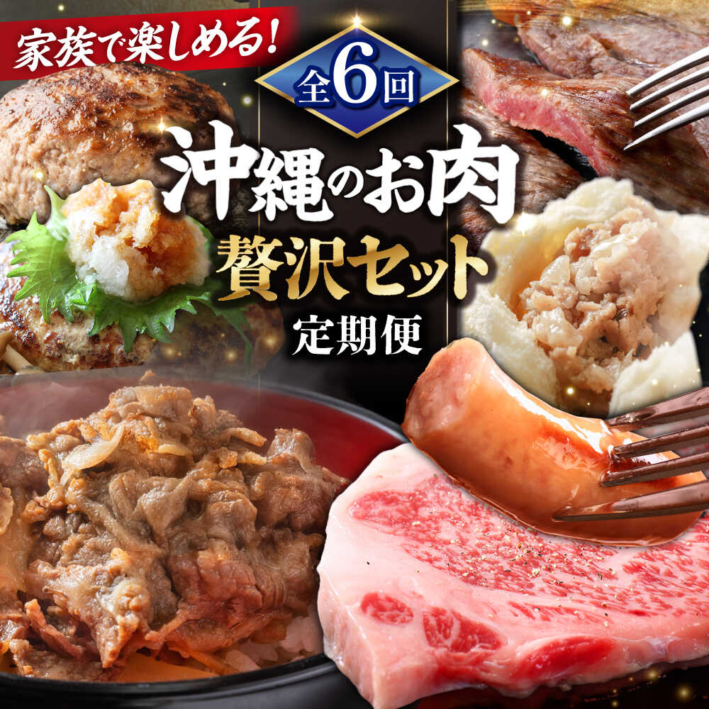 【ふるさと納税】【全6回定期便】家族で満喫！沖縄のお肉贅沢セット【沖縄市】ハンバーグ あぐー 石垣牛 ステーキ 焼肉 冷凍 ギフト お取り寄せ 沖縄市 / お肉屋本店 / 豚々茶舗 / TESIO / 肉のサブロー[BCZZ034]