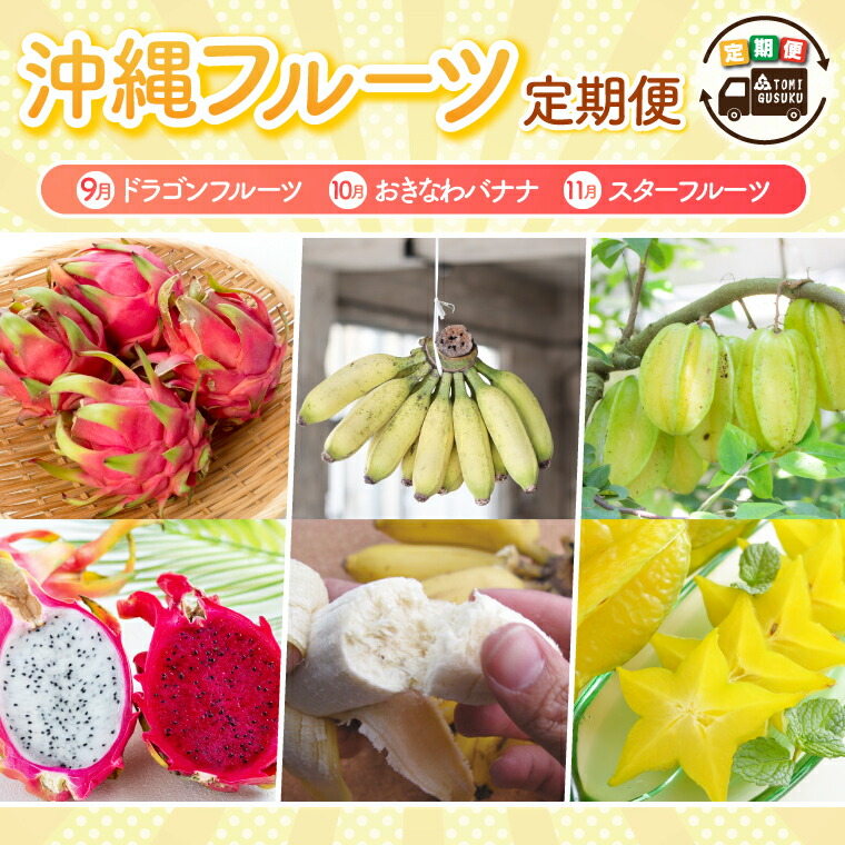 【ふるさと納税】【2025年9月より順次発送】【3回定期便】沖縄フルーツ定期便（9・10・11月コース）｜フルーツ くだもの 果物 スターフルーツ ドラゴンフルーツ バナナ 名護パイン園 定期便 フルーツ定期便 沖縄フルーツ おきなわ 沖縄県 豊見城市(AC018)
