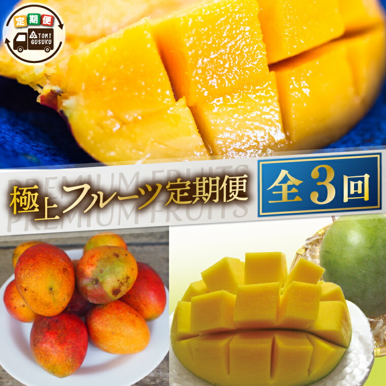 【ふるさと納税】【2025年6月より順次発送】【3ヶ月定期便】豊見城 極上フルーツ定期便(6・7・8月コース)(AC022)