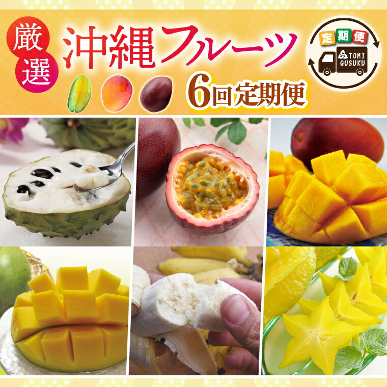【ふるさと納税】【6回定期便】厳選！沖縄フルーツ定期便（年6回）(AC024)