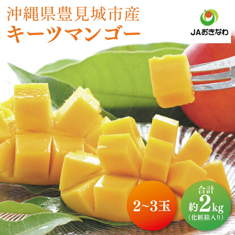 【ふるさと納税】【2025年8月より順次発送】【先行予約】キーツマンゴー 2～3玉(約2kg)(化粧箱)｜沖縄県 豊見城市 マンゴー キーツマンゴー フルーツ 果物 くだもの おきなわマンゴー ギフト 贈り物 化粧箱入り 先行予約(AE015)
