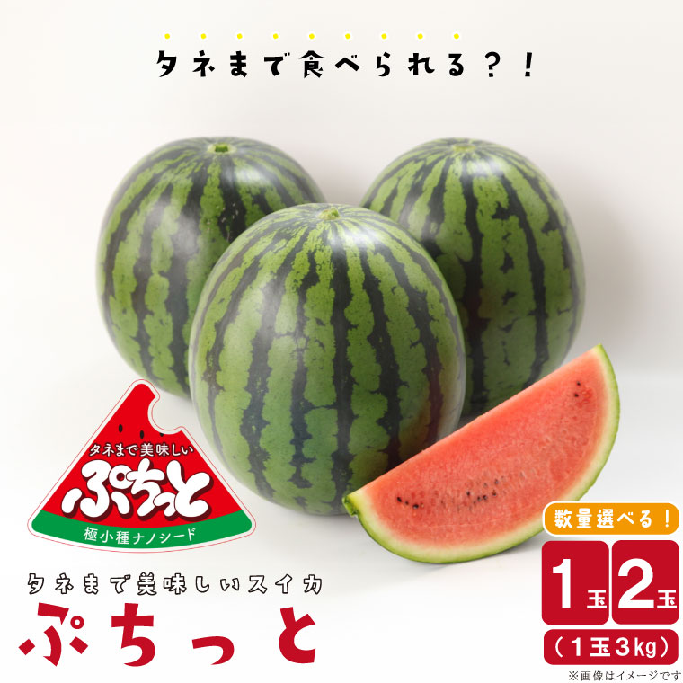 【ふるさと納税】【選べる内容量】【2025年6月より順次発送】タネまで食べられる？！ タネまで美味しいスイカ「ぷちっと」約3kg（1玉）or約6kg（2玉）｜沖縄 沖縄県 豊見城市 ふるさと納税 果物 スイカ フルーツ すいか 送料無料(CI001)