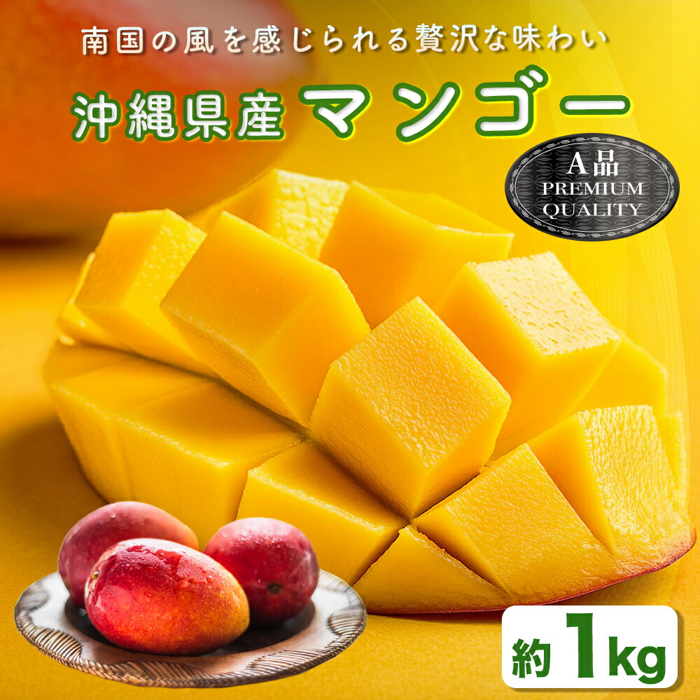 【ふるさと納税】ハナトフルーツ 沖縄県産マンゴーA品 １ｋｇ 【2025年発送】マンゴー 沖縄 うるま市 フルーツ 果物 産地直送 プレゼント 贈り物 国産  お取り寄せ