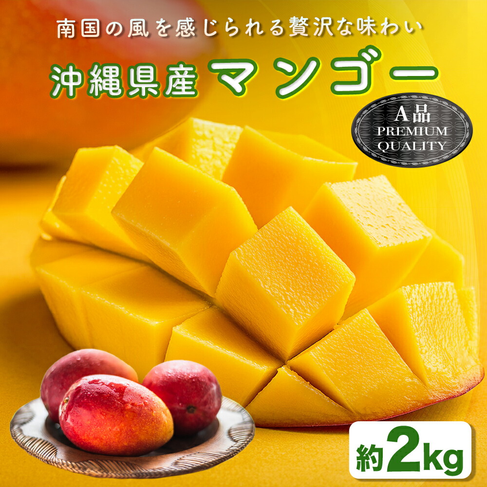 【ふるさと納税】ハナトフルーツ 沖縄県産マンゴーA品 ２ｋｇ 【2025年発送】マンゴー 沖縄 うるま市 フルーツ 果物 産地直送 プレゼント 贈り物 国産 お取り寄せ