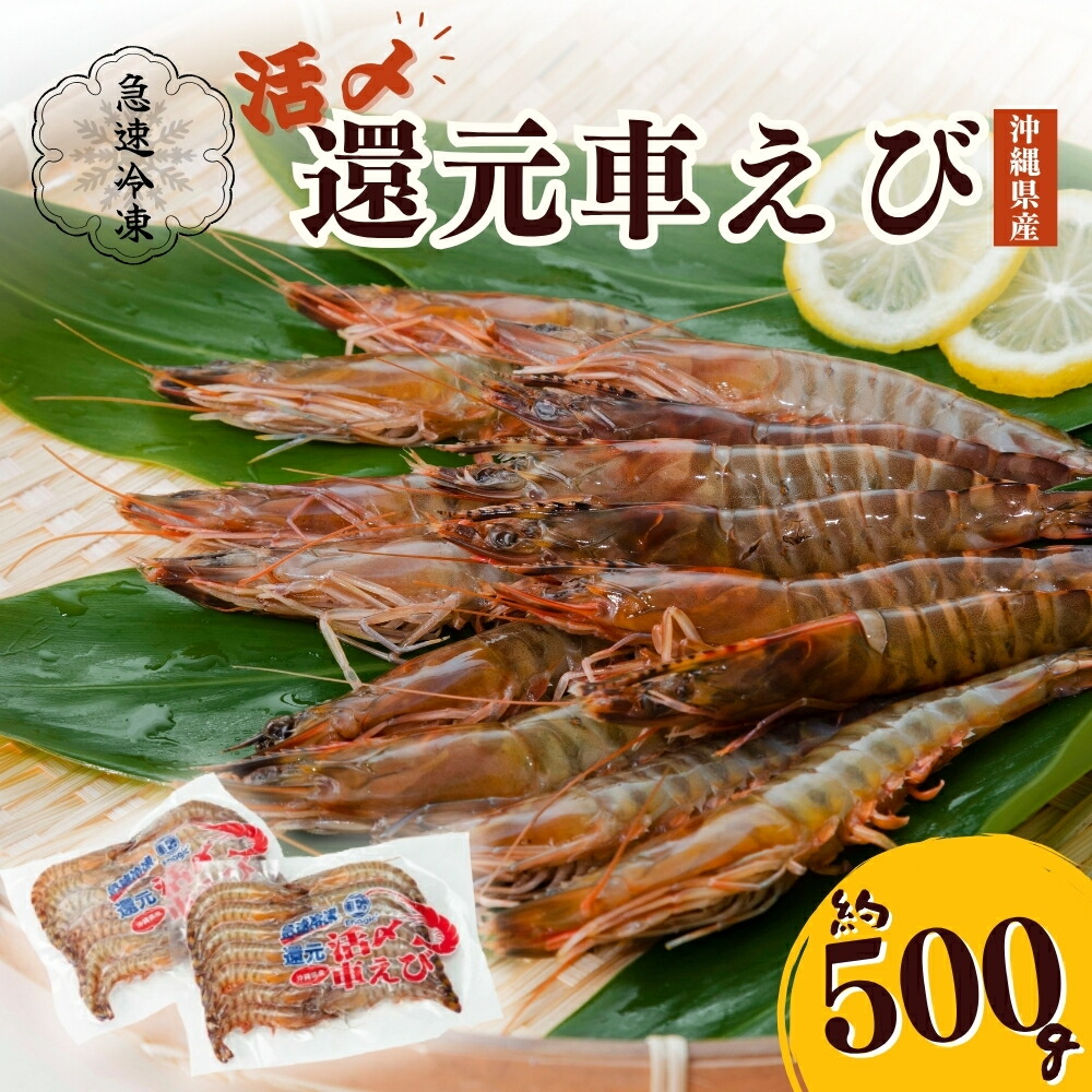楽天市場】【ふるさと納税】活〆還元車えび（急速冷凍・500g