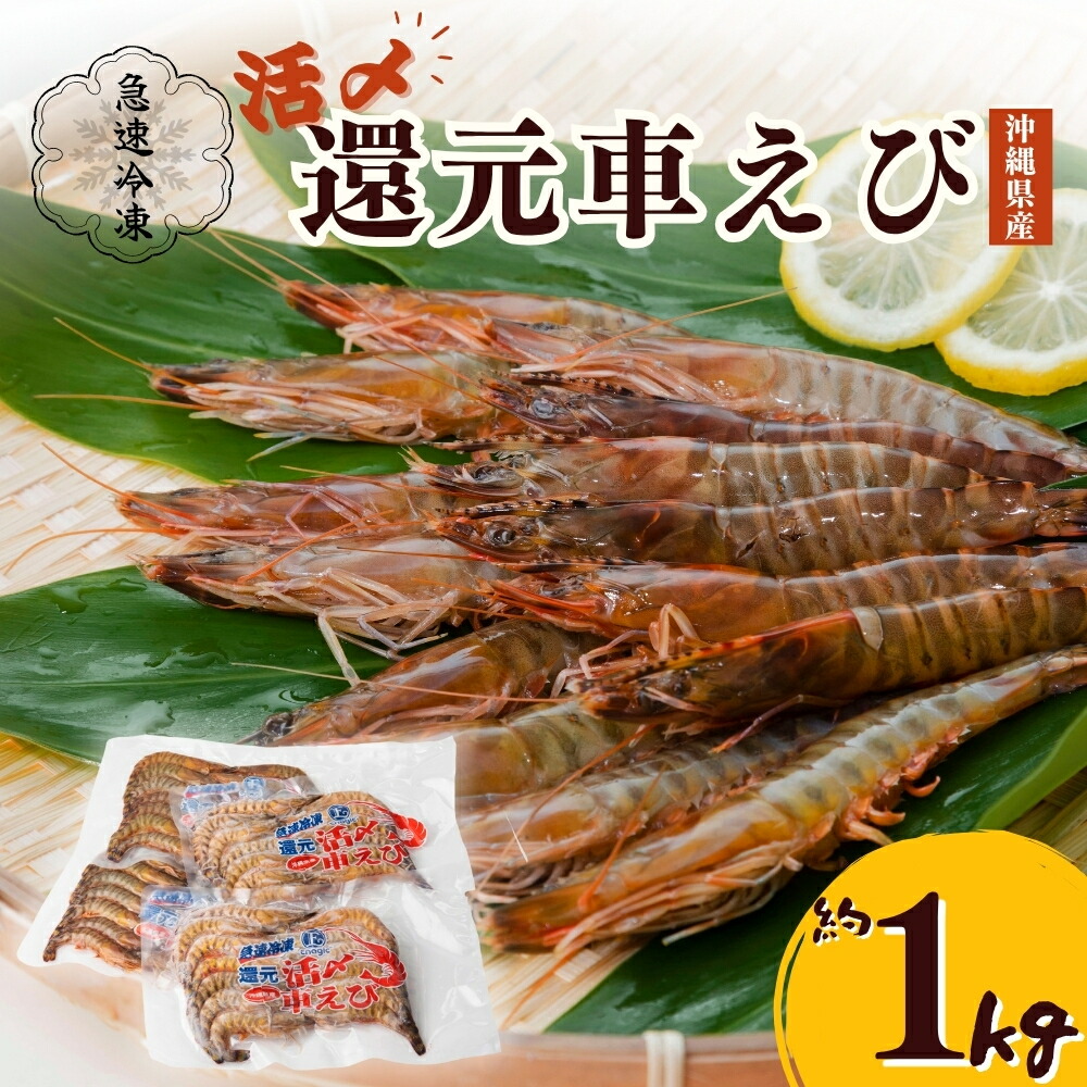 楽天市場】【ふるさと納税】活〆還元車えび（急速冷凍・500g