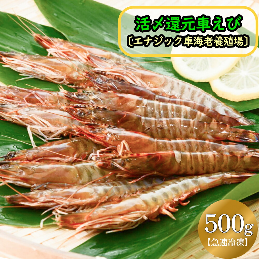【ふるさと納税】活〆還元車えび（急速冷凍・500g）【エナジック車海老養殖場】