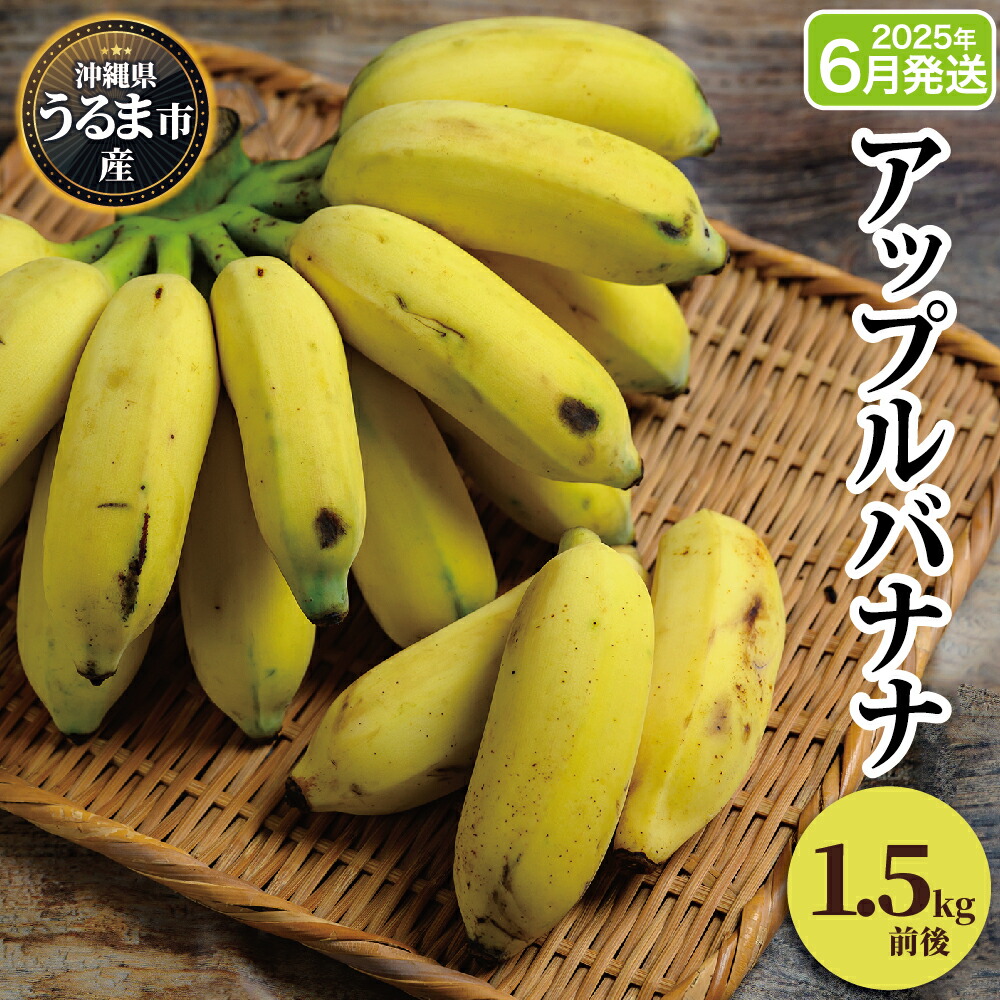 【ふるさと納税】うるま市産アップルバナナ（約1.5kg前後）　【2025年発送】　アップルバナナ　バナナ　沖縄県産　うるま市産　南国フルーツ　トロピカル　濃厚
