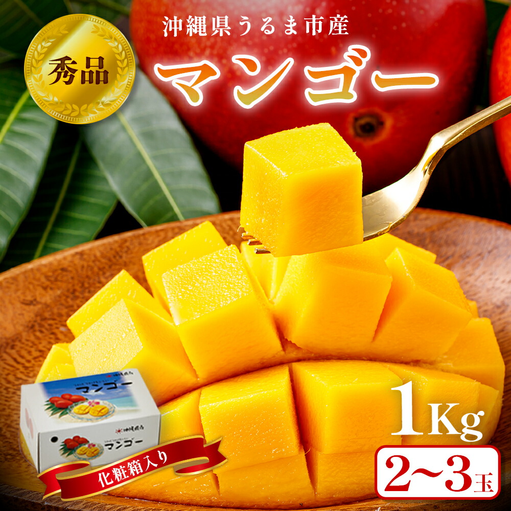 【ふるさと納税】沖縄県 うるま市産 完熟 マンゴー 秀品 1kg【2025年発送】 マンゴー 沖縄 秀品 ギフト 完熟マンゴー アップルマンゴー フルーツ 果物 産地直送 プレゼント 贈り物 国産 お取り寄せ 財宝
