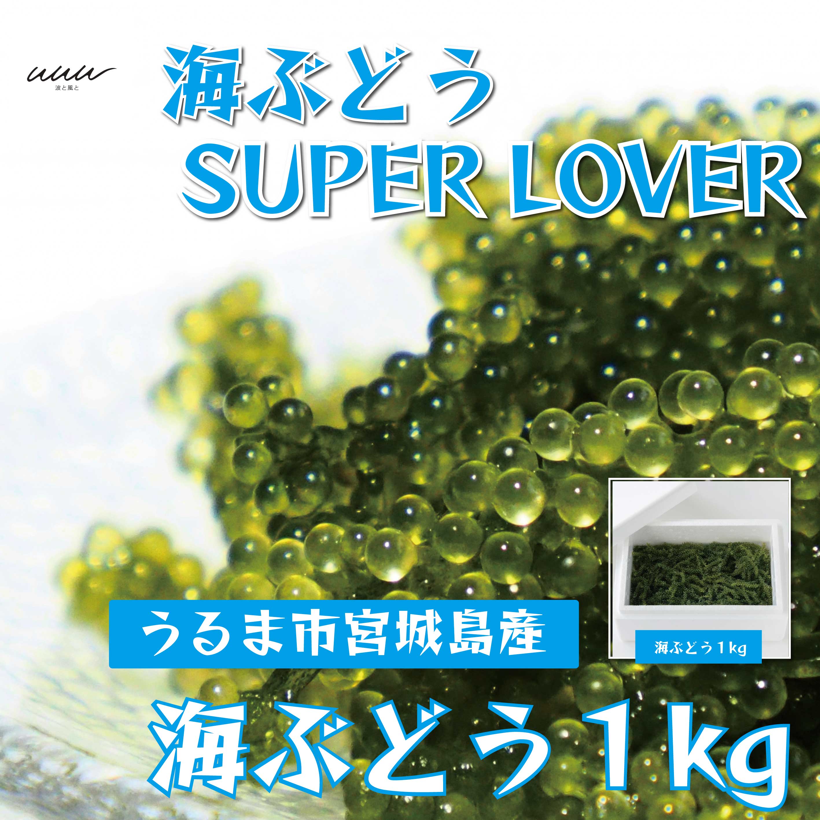 【ふるさと納税】海ぶどうSuperLover　大容量1kgパック【2025年4月より順次発送】　沖縄　ふるさと納税　海ぶどう　ぷちぷち　大容量　サラダ　海鮮丼