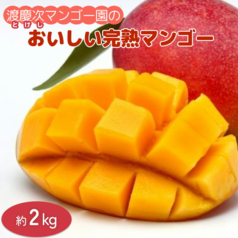 【ふるさと納税】渡慶次マンゴー園の完熟マンゴー約2Kg【2025年発送】