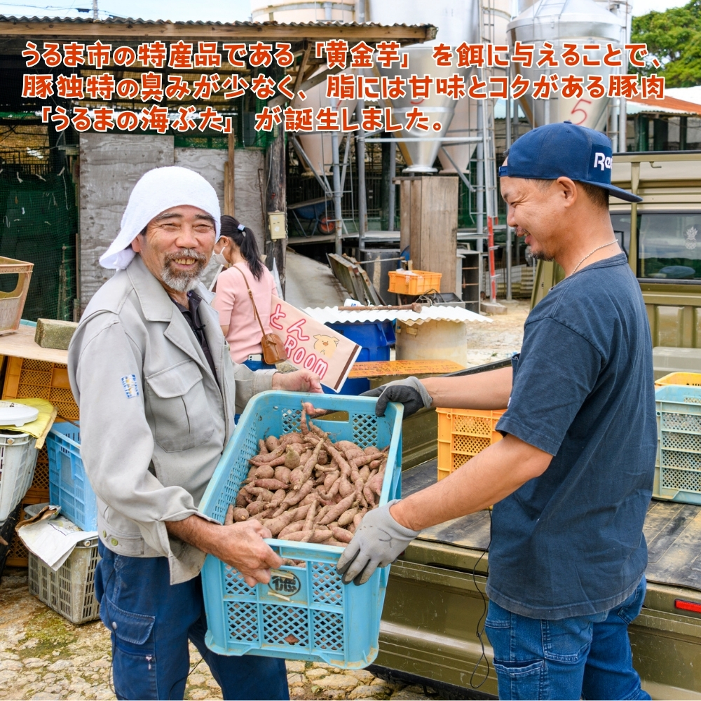 【ふるさと納税】うるまの海ぶたグルメセット（味噌漬け・ラフテー・チャーシュー）