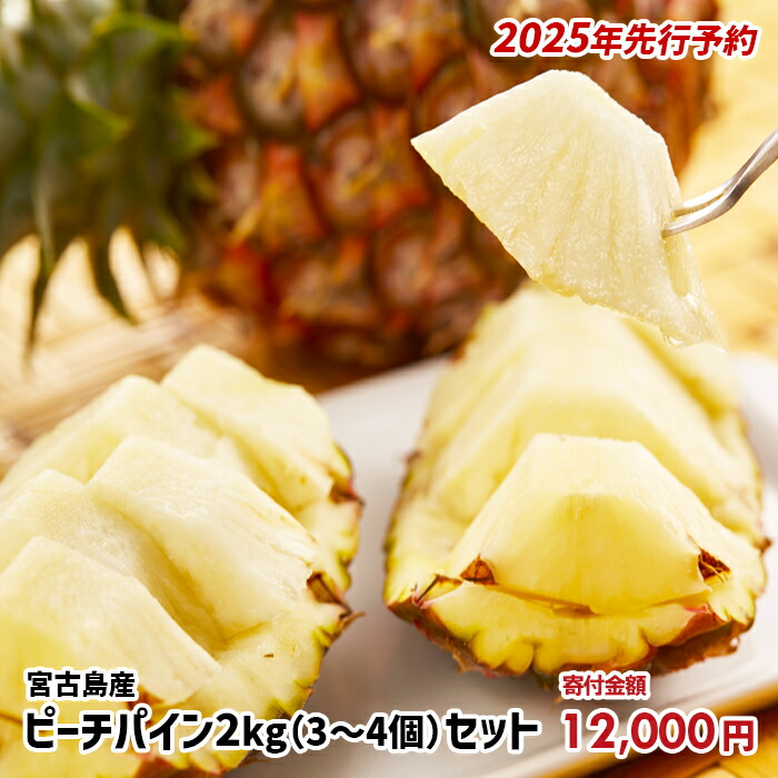 【ふるさと納税】《先行予約》【2025年発送】宮古島産ピーチパイン 2kg（3～4個）セット《金ちゃん農園》(AK107) | ピーチパイン 果物 フルーツ パインアップル パインナップル 人気 おすすめ 送料無料 沖縄 宮古島