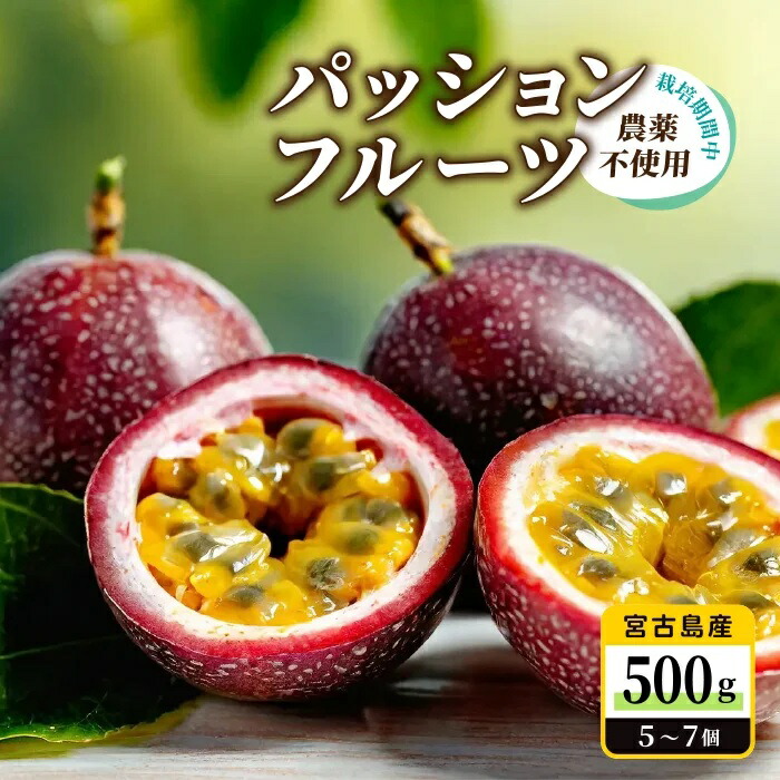 【ふるさと納税】宮古島産 パッションフルーツ 栽培期間中農薬不使用（500g）【(株)フラモン】(JH015）