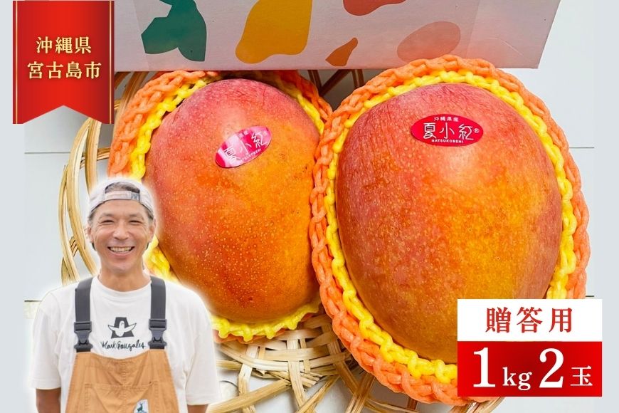 【ふるさと納税】【2025年先行予約】【檬果家】マンゴー好き必見！沖縄限定　希少品種【夏小紅】１kg２玉　贈答用（HZ001）