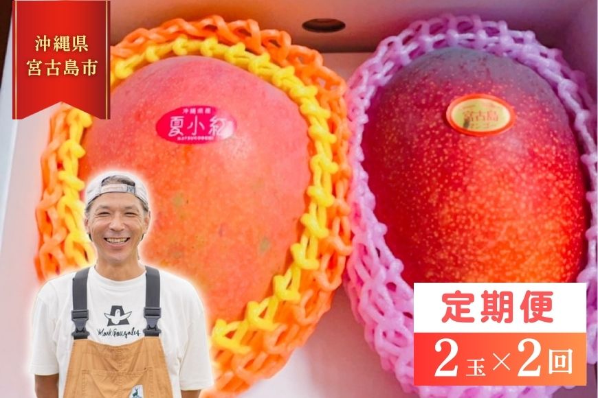 【ふるさと納税】【2025年先行予約】【檬果家】【定期便】マンゴー好き必見！最強コンビ食べ比べ【アーウィン＆夏小紅】（HZ002）