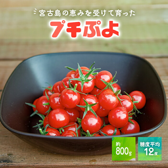 【ふるさと納税】宮古島産 トマト 【プチぷよ】 約800g　糖度平均12度（PN02）