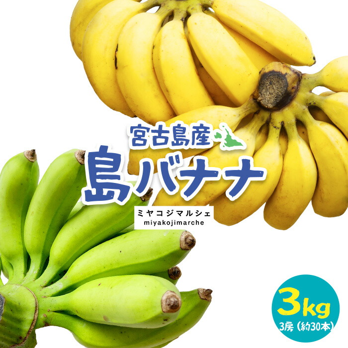 楽天市場】【ふるさと納税】宮古島産バナナ1kg【（株）フラモン