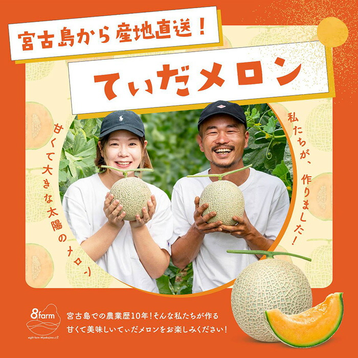 【ふるさと納税】【8farm】宮古島産てぃだメロン2玉（3.8kg以上）《2025年12月～1月発送》(JC004)