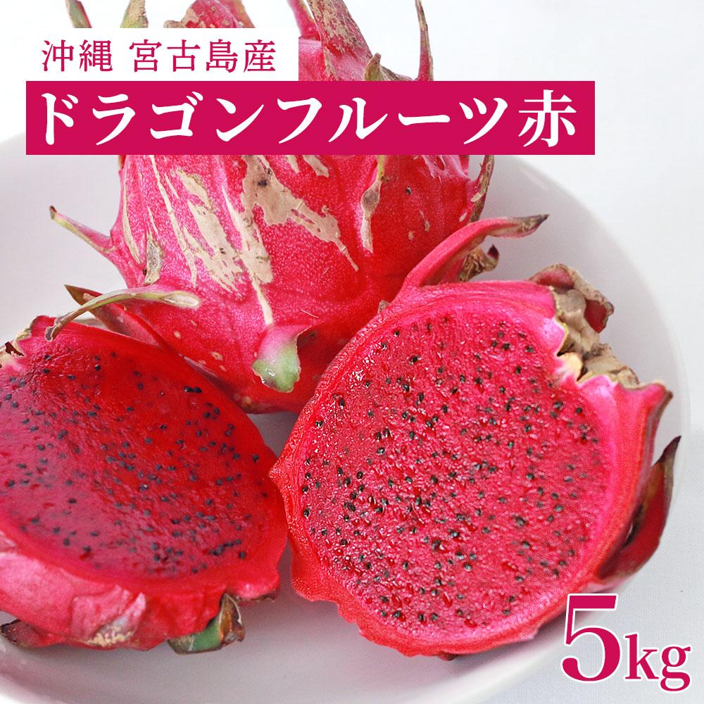 【ふるさと納税】沖縄・宮古島産｜ドラゴンフルーツ（赤）5kg【2025年発送】 | 健康食フルーツ 無農薬 ビタミン 果物 フルーツ お取り寄せ 取り寄せ 特産品 ギフト プレゼント 人気 おすすめ 送料無料 南国 沖縄 宮古島