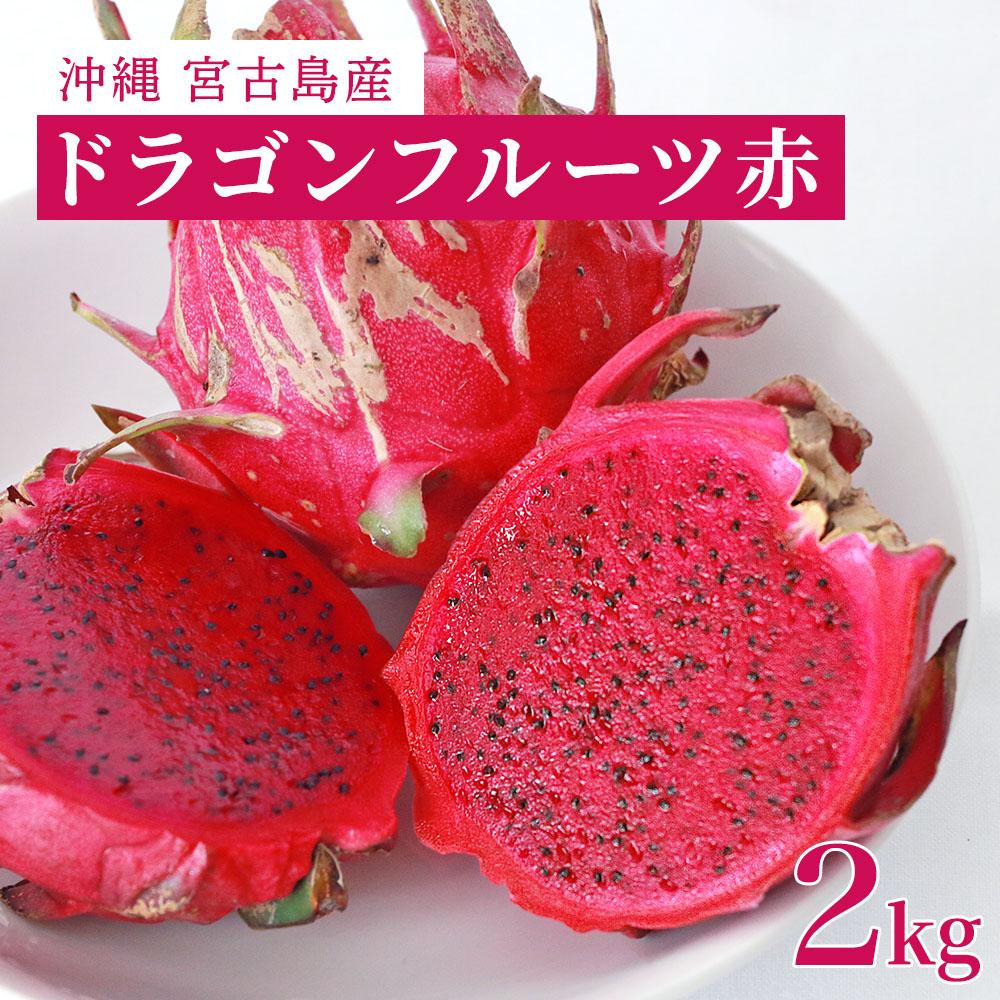 【ふるさと納税】沖縄・宮古島産｜ドラゴンフルーツ（赤）2kg【2025年発送】 | 健康食フルーツ 無農薬 ビタミン 果物 フルーツ お取り寄せ 取り寄せ 特産品 ギフト プレゼント 人気 おすすめ 送料無料 南国 沖縄 宮古島