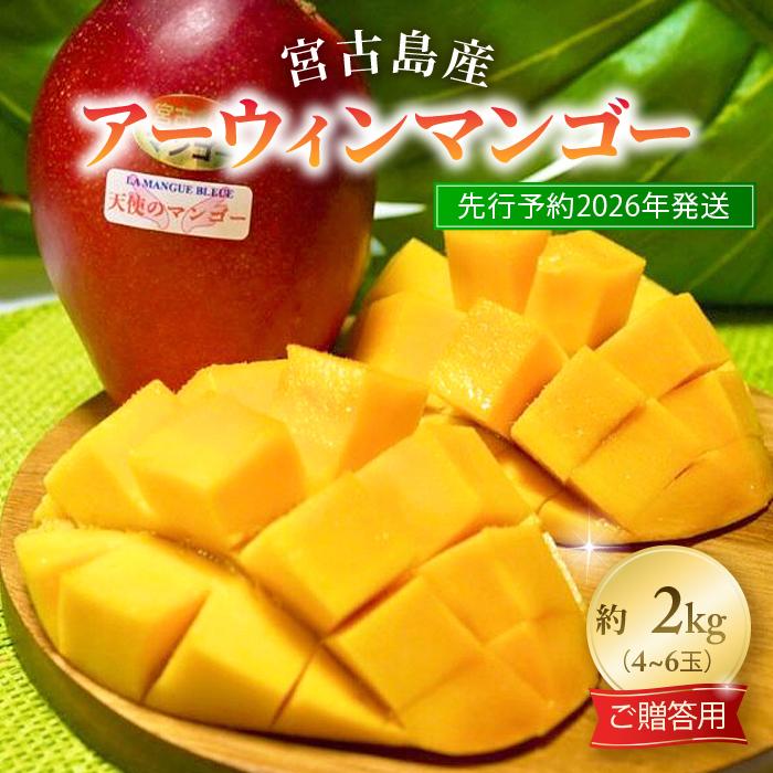 日本で一番あまいアップルマンゴー宮古島産 糖度20度　 最高級マンゴー 宮古島のマンゴー通販なら！マンゴー共和国 by 島の駅みやこ