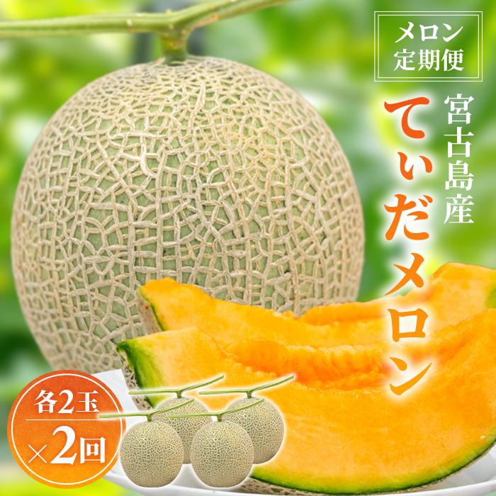 【ふるさと納税】【メロン定期便】＜先行受付＞宮古島産てぃだメロン 2玉《2026年冬・2027年春発送》＜8farm＞（JC007） 29,250円