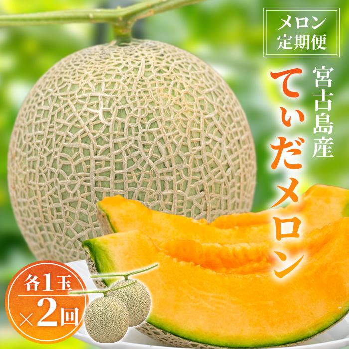 【ふるさと納税】【メロン定期便】＜先行受付＞宮古島産てぃだメロン 1玉《2026年冬・2027年春発送》＜8farm＞（JC008）