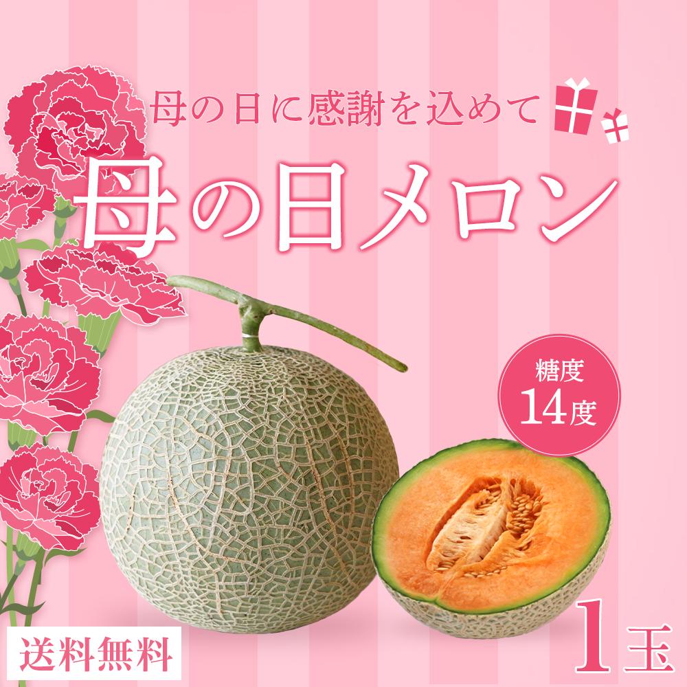 【ふるさと納税】母の日ギフト 母の日メロン【大玉１玉】｜沖縄県宮古島産（琉球マルシェ）
