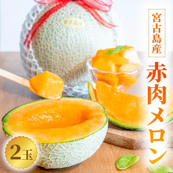 【ふるさと納税】【2026年冬先行予約】宮古島産 赤肉メロン 2玉 【農家直送】 ＜とみお農園＞（TN02）