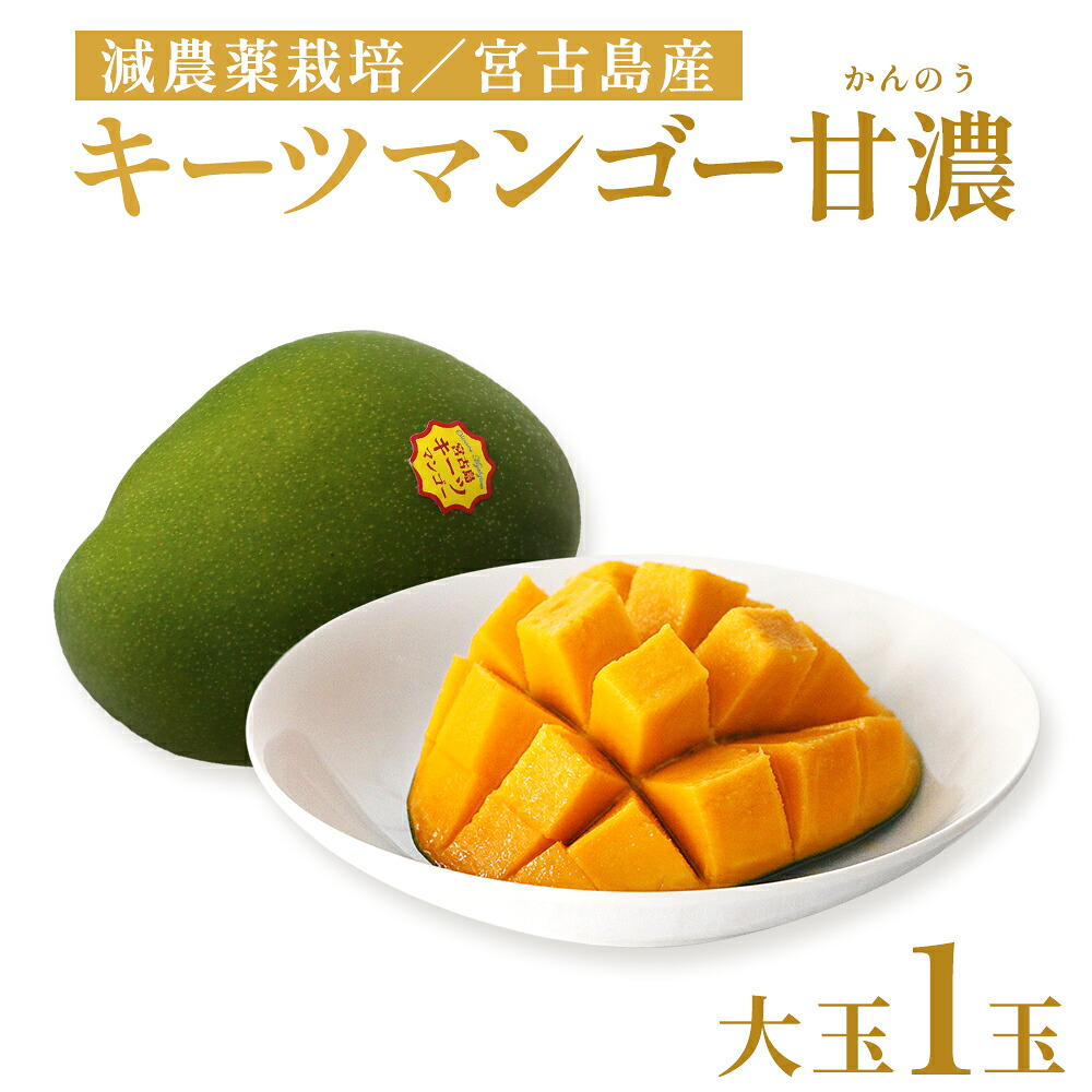 【ふるさと納税】《先行予約》沖縄県宮古島産 減農薬栽培 キーツマンゴー甘濃（かんのう）1玉【琉球マルシェ】 16,500円