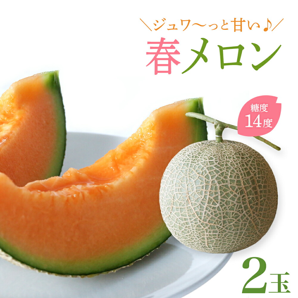 【ふるさと納税】沖縄・宮古島 春メロン【２玉】(AR221)｜贈答用・高級果物・赤肉メロン | 贈答用・高級果物・赤肉メロン