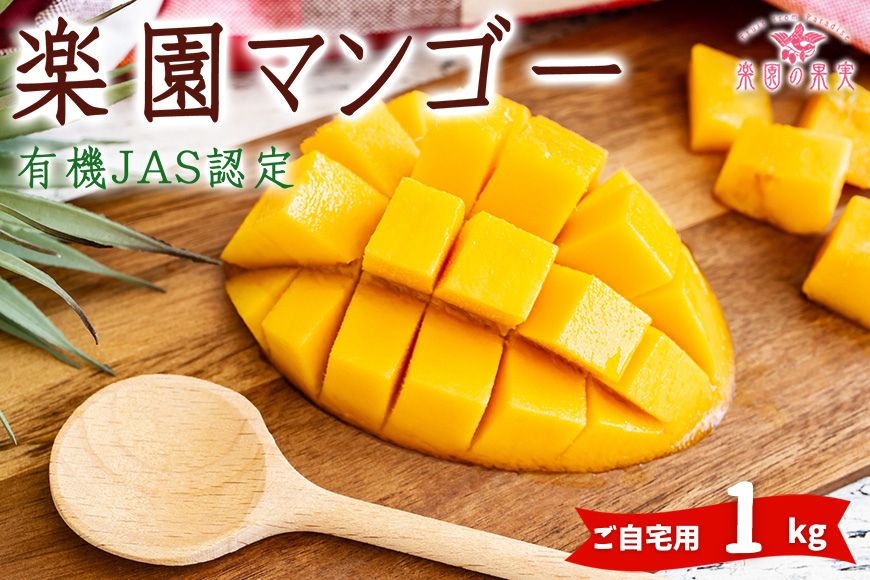 【ふるさと納税】《先行予約》2025年発送  有機JAS認証マンゴー（アーウィン）ご自宅用 1kg【楽園の果実】 | マンゴー 果物 フルーツ ご当地 アーウィン 有機 沖縄 宮古島