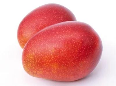 【ふるさと納税】【2025年発送】＜優品＞完熟アップルマンゴー約2kg（化粧箱）3玉～6玉