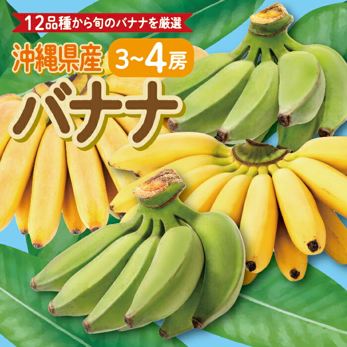【ふるさと納税】高原の駅なんじょうバナナ3～4房（12品種から旬のものを詰合せ） I バナナ 詰め合わせ 旬フルーツ 果物 沖縄県 南城市 ふるさと納税 高原の駅なんじょう
