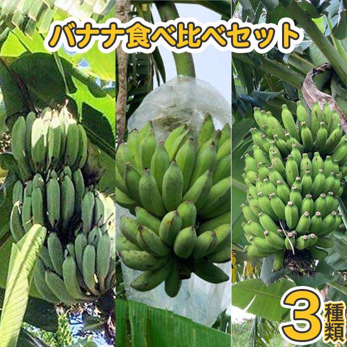 南城市の無農薬栽培バナナ3種類食べ比べセット