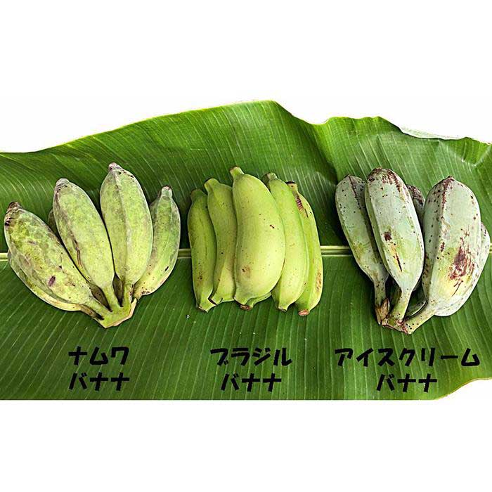 南城市の無農薬栽培バナナ3種類食べ比べセット