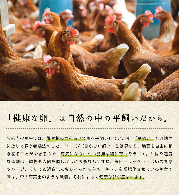 店舗 平飼い卵と手作りマヨネーズセット 沖縄 沖縄県 南城市 ご当地 お取り寄せ お土産 沖縄お土産 沖縄土産 ふるさと 納税 支援 たまご 卵 玉子  マヨネーズ 鶏卵 生卵 セット 食品 食べ物 たべもの ご当地土産 ご当地おみやげ 沖縄卵 おすすめ 取り寄せ fucoa.cl