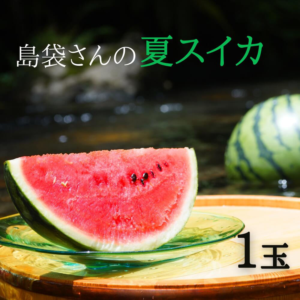 すいか 糖度 スイカ お歳暮 贈り物 甘い ふるさと納税 沖縄 島袋さんの夏スイカ 5 7kg 1玉 スイカ フルーツ 果物 8月 ふるさと納税 21年8月発送 お盆 国頭村 沖縄県国頭村