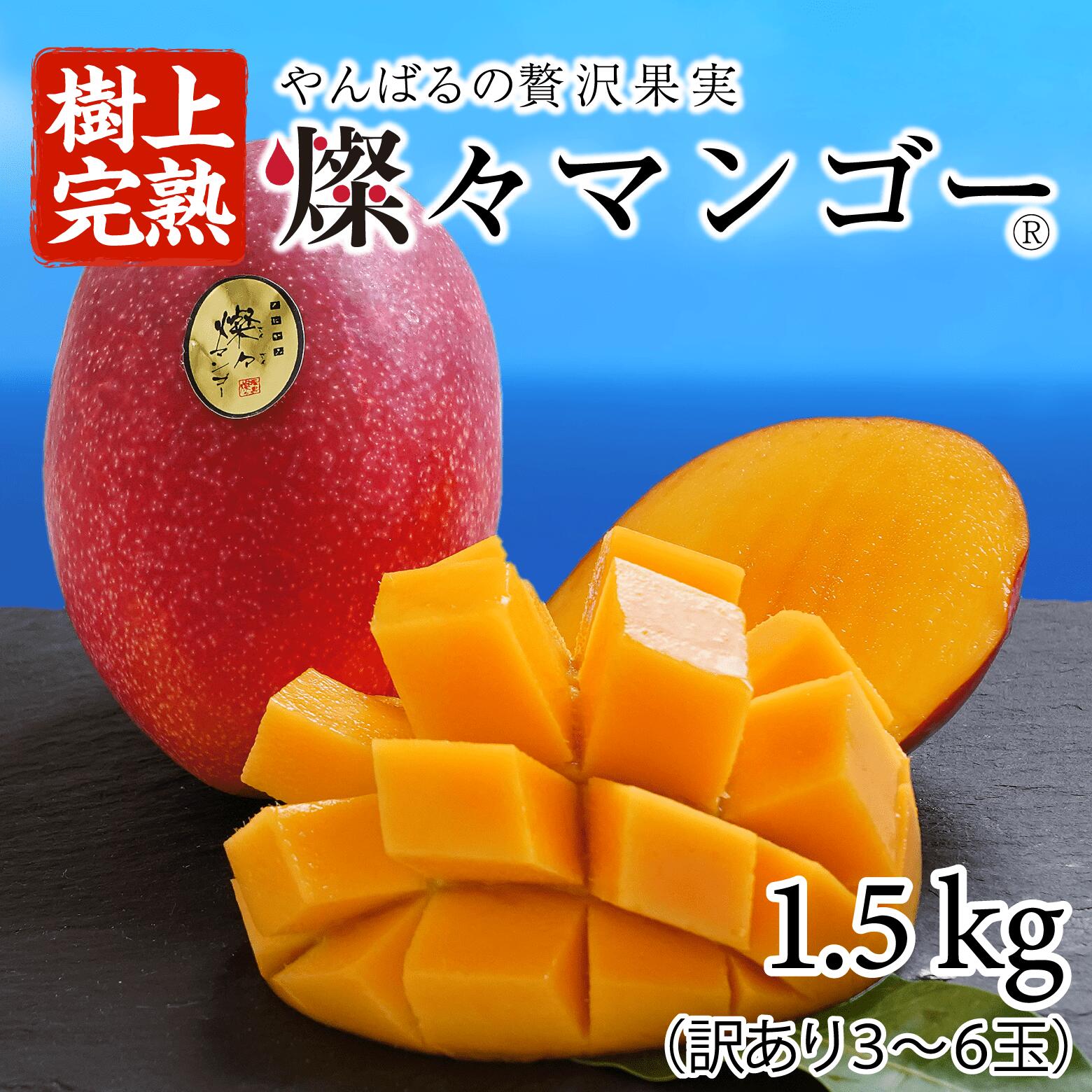 マンゴー、青切り青果用４キロ