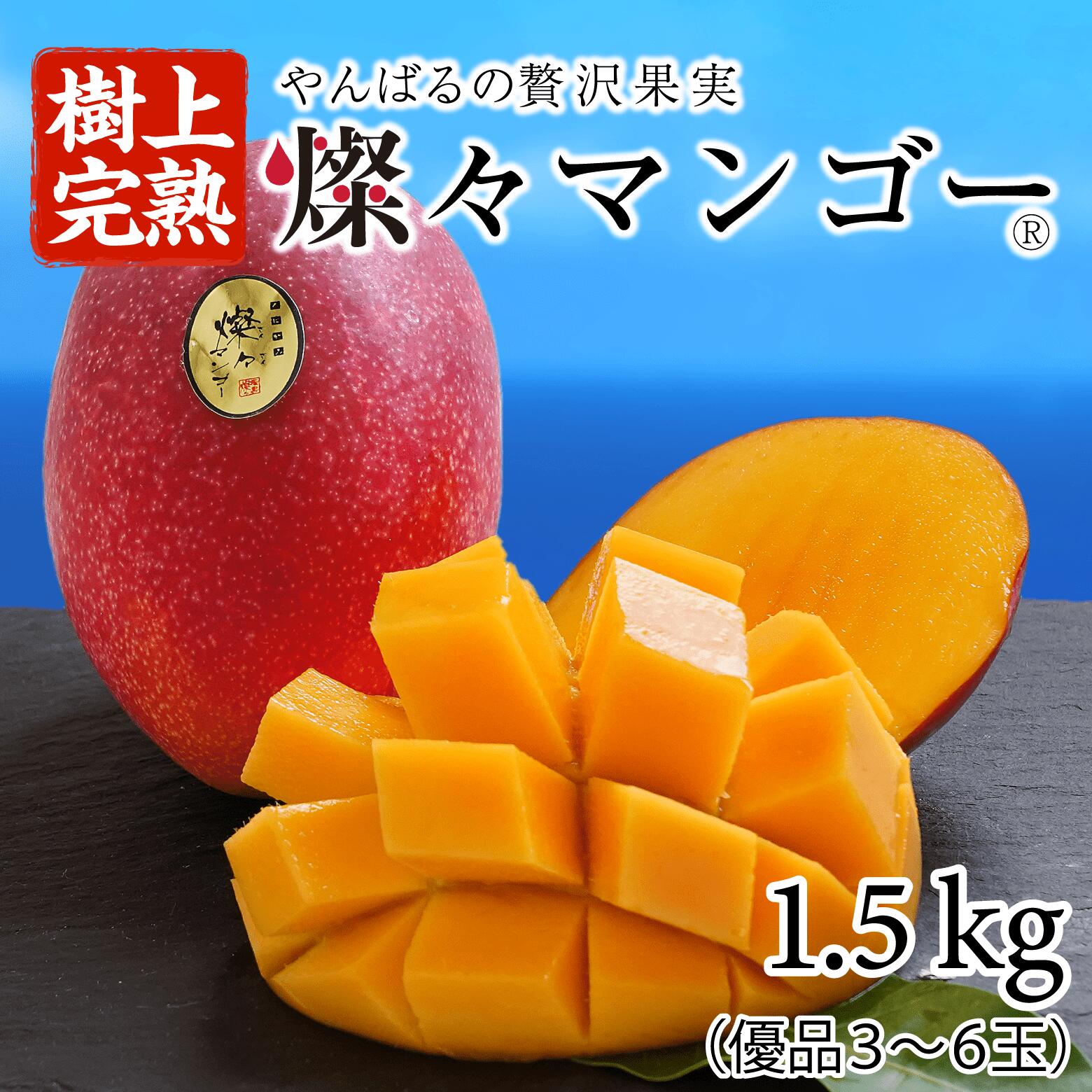 宮崎県産 完熟マンゴー 1.5kg ばら x 3