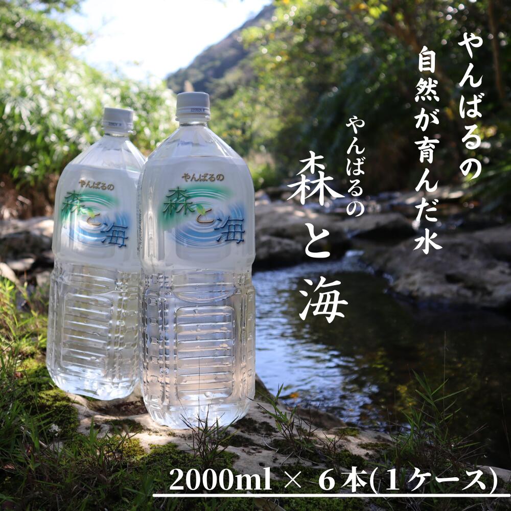 最大96％オフ！ 6本 やんばるの水 2000ml 森と海 水・ミネラルウォーター