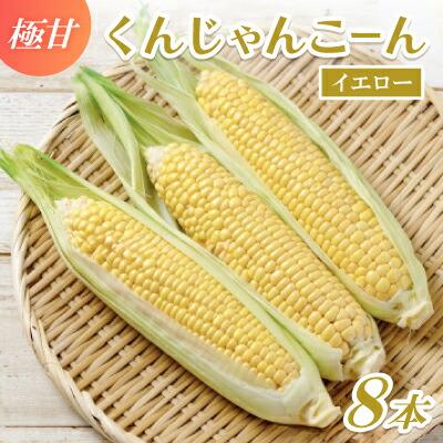 【ふるさと納税】【2026年4～5月頃順次発送】春獲れ一番!極甘くんじゃんこーん 8本 とうもろこし【配送不可地域：離島】【1578836】